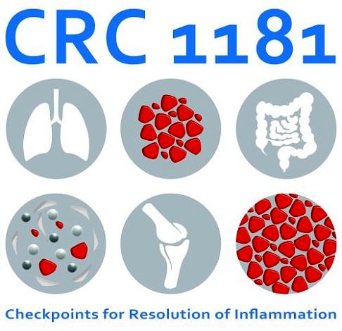 CRC1181 Logo