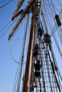 Up, up they go! (Image: FAU/Susanne Langer)