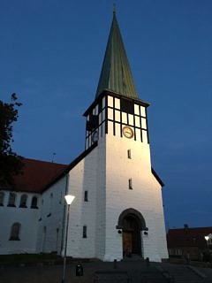 Science sets sail: In Ronne auf Bornholm (Bild: FAU/Susanne Langer)